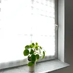 Zwei-zimmer-wohnung 公寓