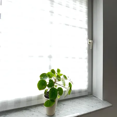 Zwei-zimmer-wohnung Apartment