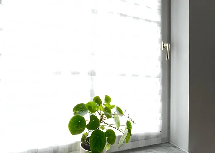 Zwei-zimmer-wohnung 公寓